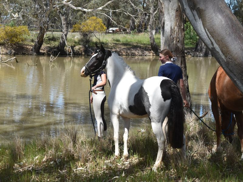 Attractive All-rounder and PC mount 
