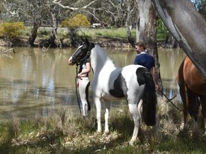 Kyabra Park Strictly Ballroom 