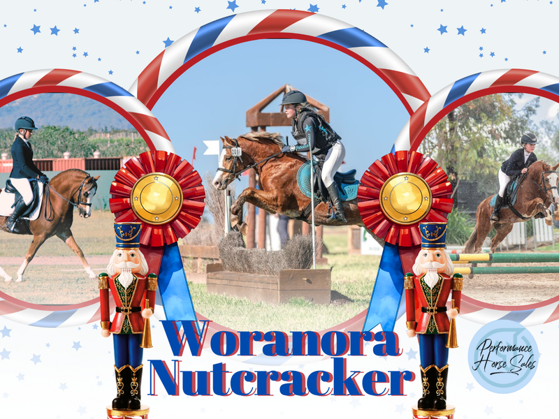 Woranora Nutcracker - super kind and competitive