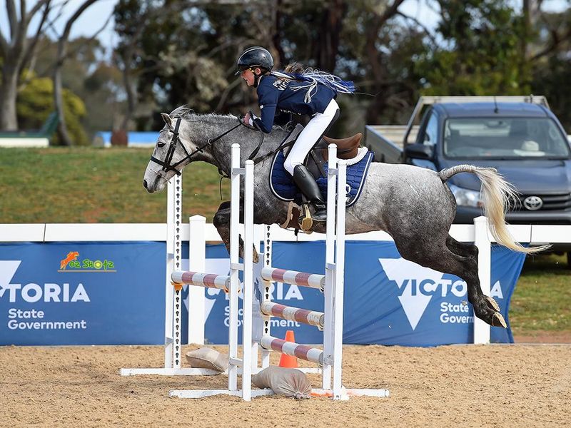 Performance pony, mothers dream