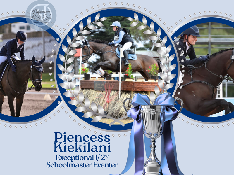 Princess Kiekilani: Exceptional 1/2* Jnr Eventer