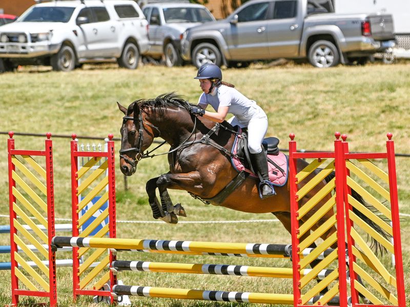Experienced Eventer 