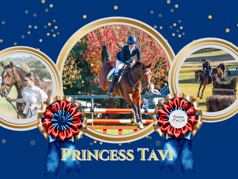 Princess Tavi - Outstanding 1*/ 115 SJ
