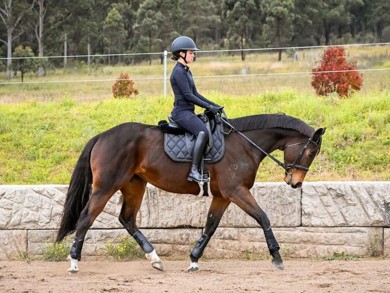 Dorris - Hickory Wind