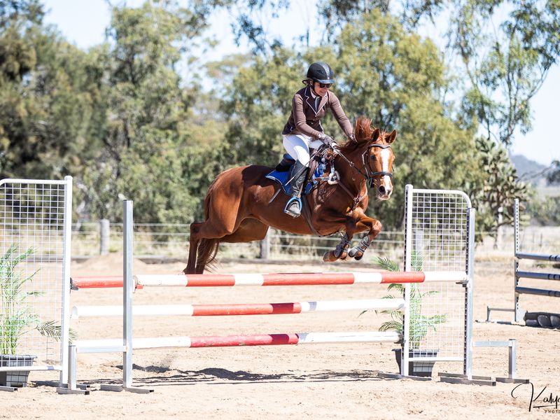 competitive OTT showjumper