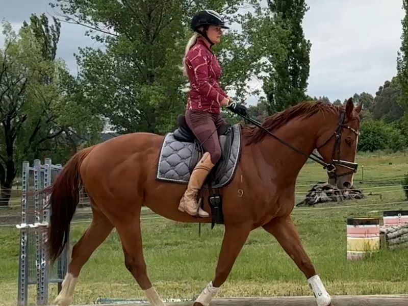 Ready for anything OTT