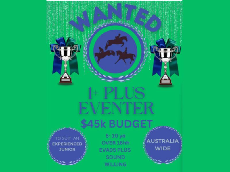 WANTED TO BUY - eventer for capable teen