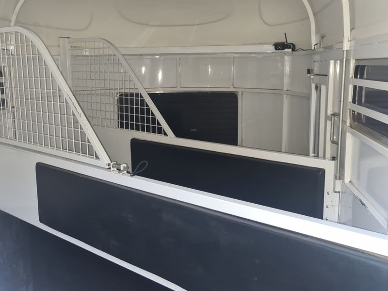 Olympic mid mustang 2016 2HAngle