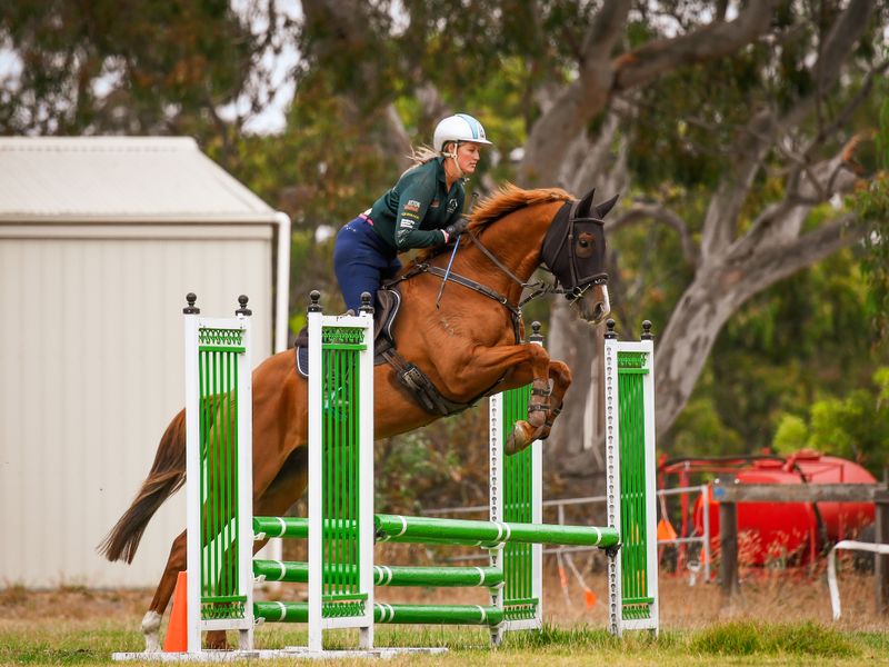 Show, Showjump or event 