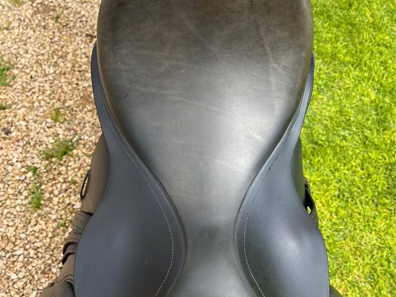 17" Black Anky Dressage Saddle MW