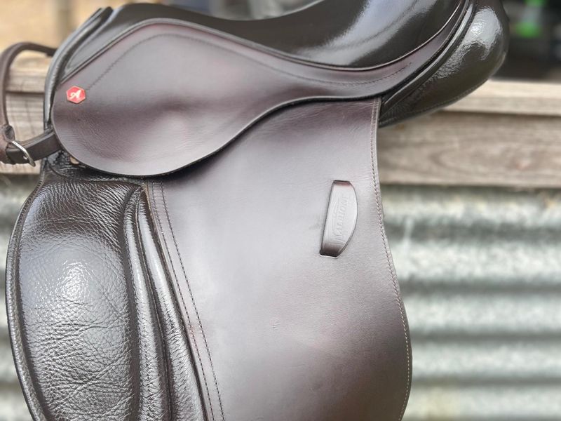 Albion pony dressage