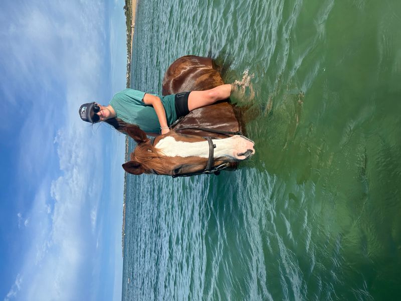 Interschool Dream Horse