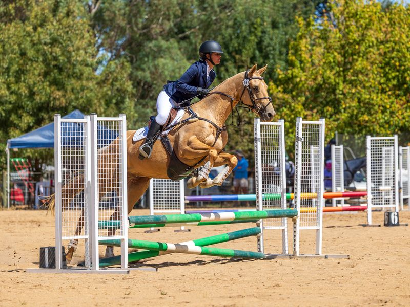 One for the Whole Family 