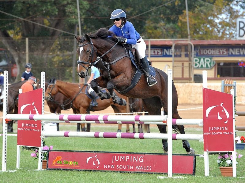 Perfect Interschools WB Mare