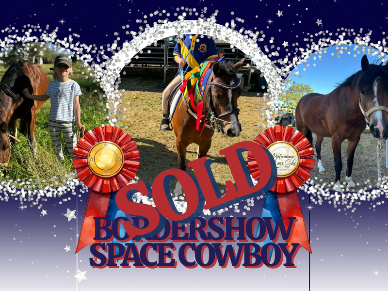 Bordershow Space Cowboy: Beginners Schoolmaster