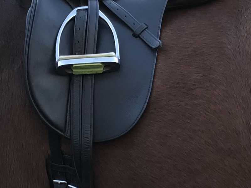 PHS Pony Dressage Saddle