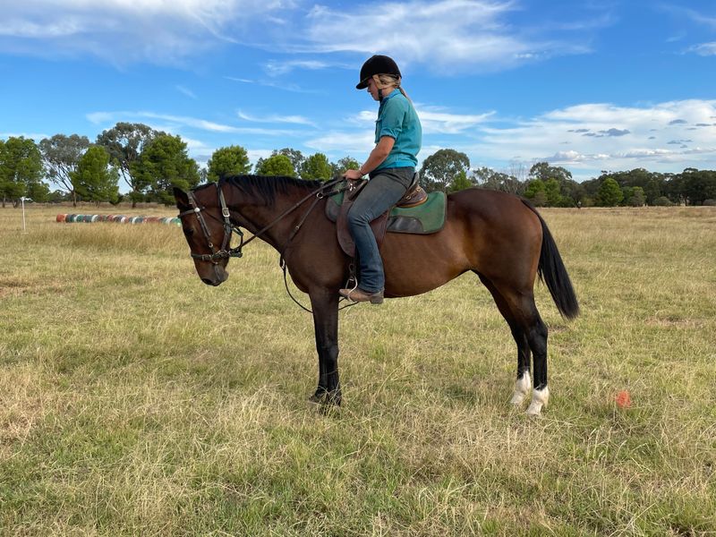 Riverdale Mystery HSH