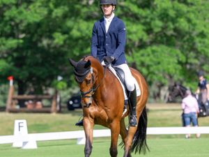 Storm Park Supernova