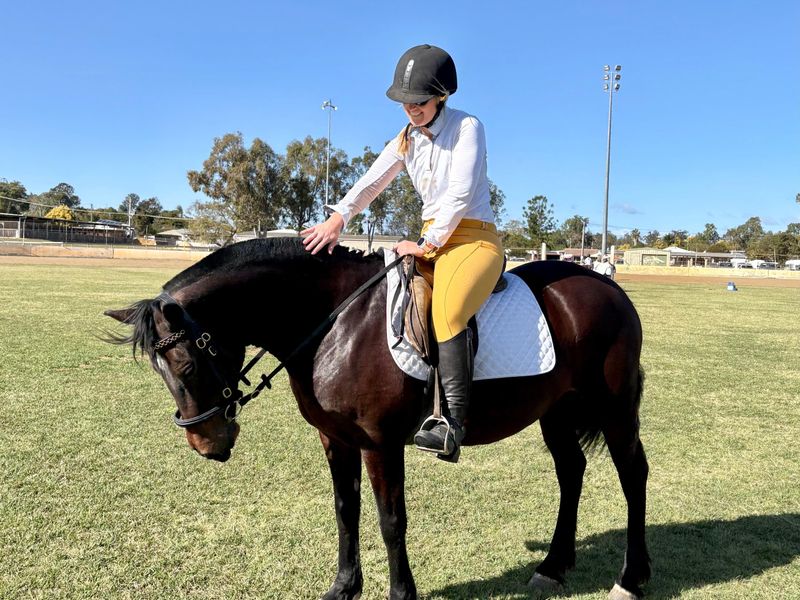 Super sweet Welsh cob jumper