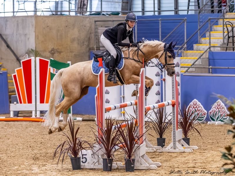 Competitive all-rounder