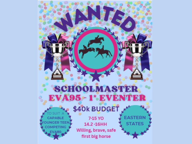 WANTED TO BUY - EVA95-1* eventer for a junior