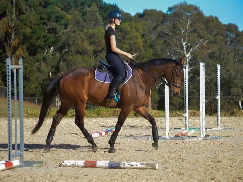 Faster Logic (Ruben) 03/10/2013