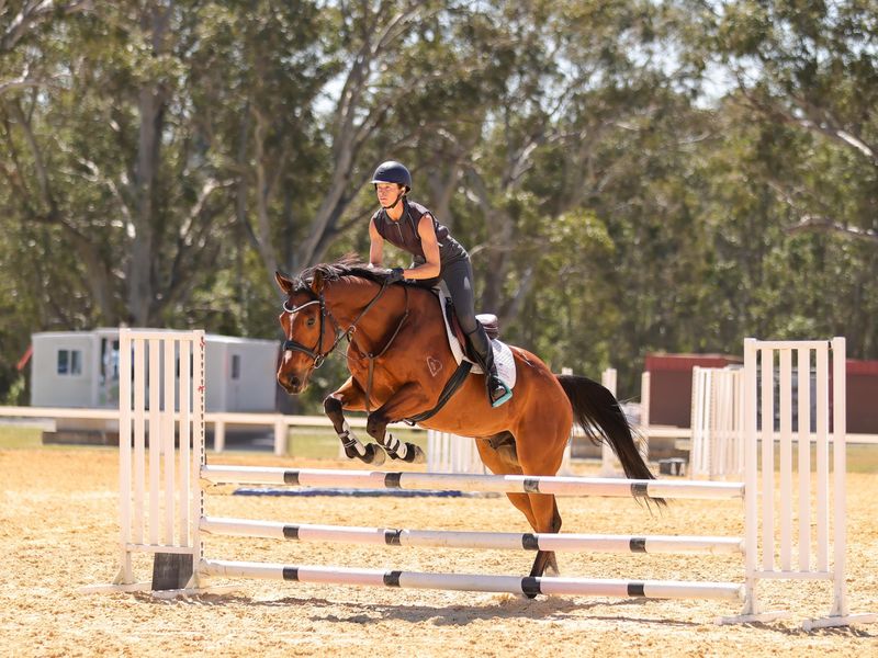 Impeccable Temperament with Talent