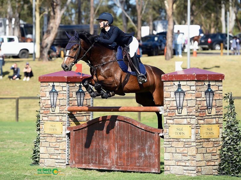 Competitive Schoolmaster 