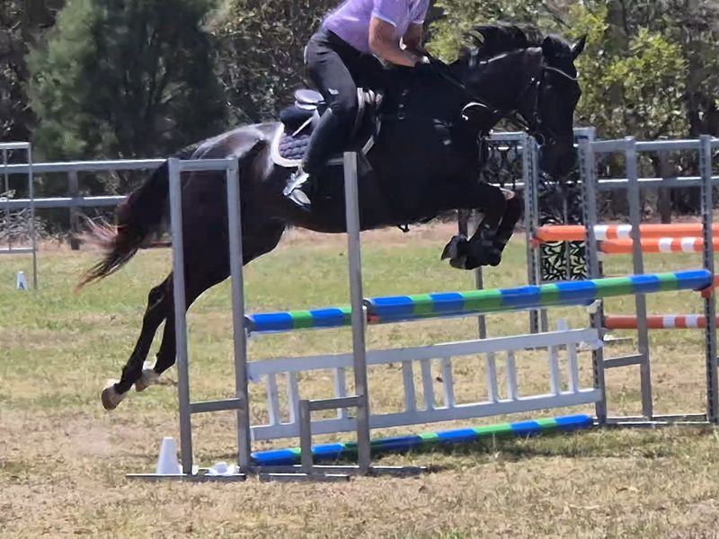 Talented Tb ready to continue career 