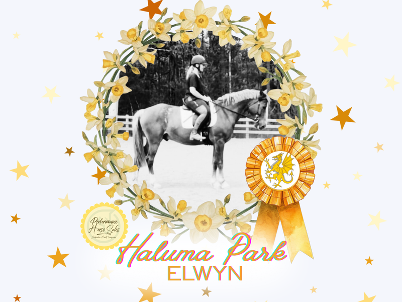 Haluma Park Elwyn - lovely Welsh D future star!