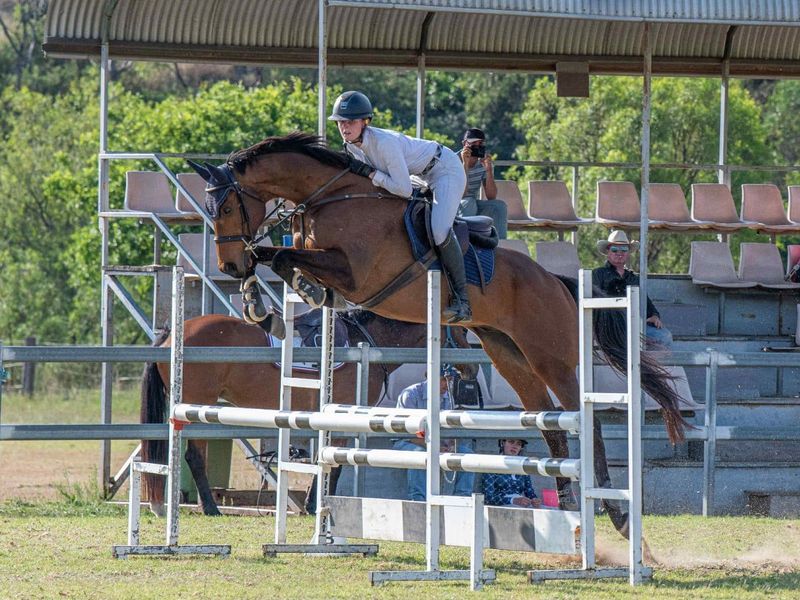 Talented, Competitive OTT Showjumper