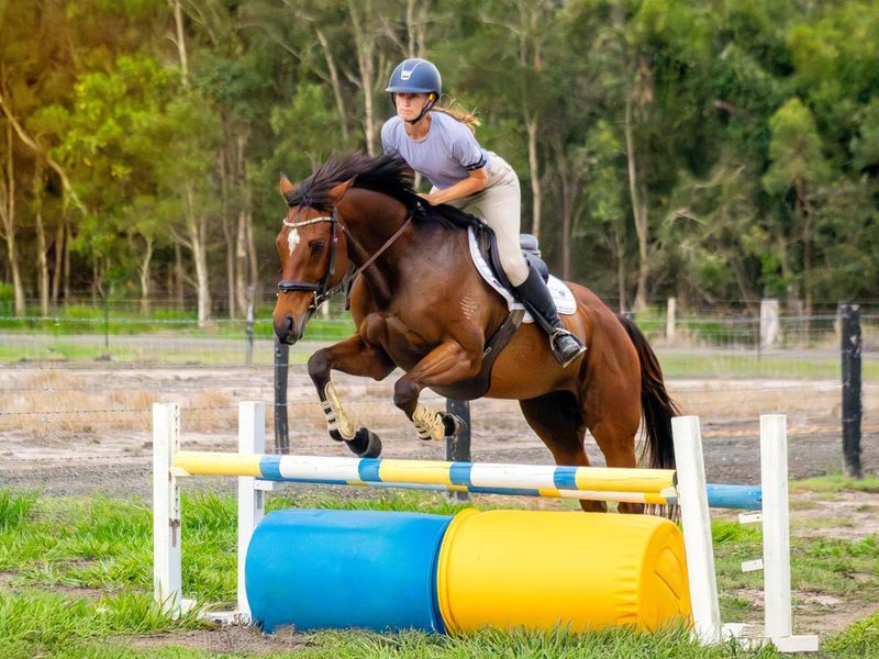 Been There Done That Allrounder