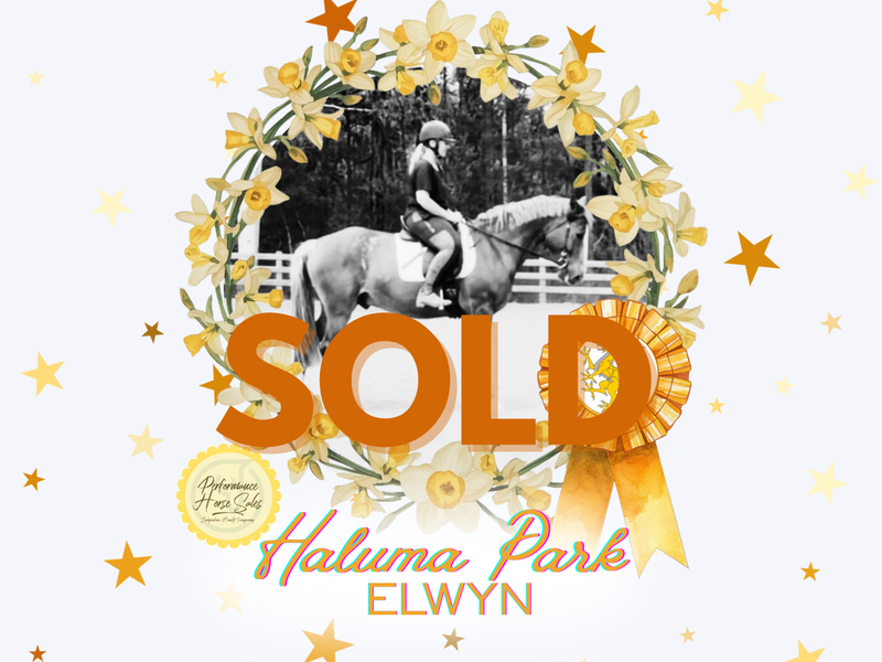 Haluma Park Elwyn - lovely Welsh D future star!