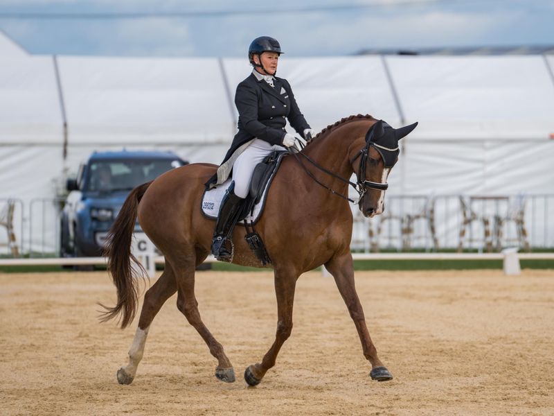 Grand Prix Potential