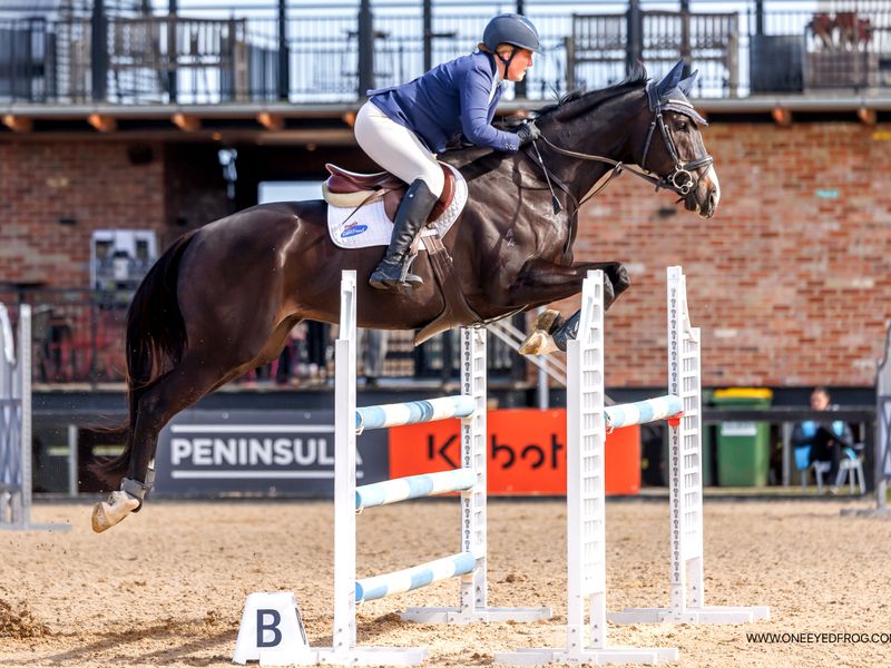 Genuine School Master