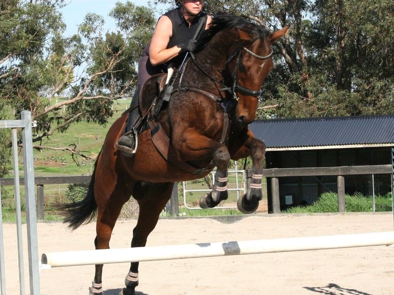 Darwin park unanimous 