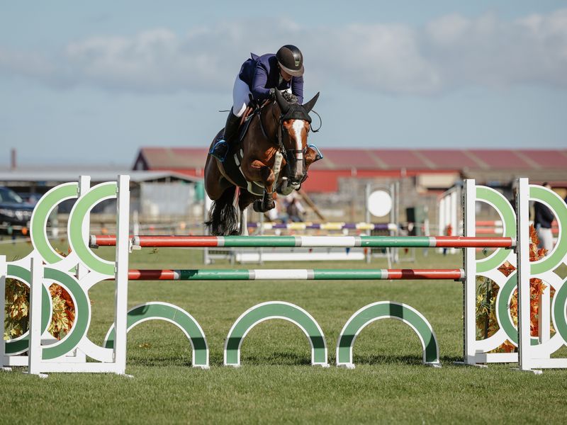 The Ultimate Next Step 