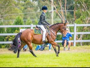 Parnelldowns Dreamtime