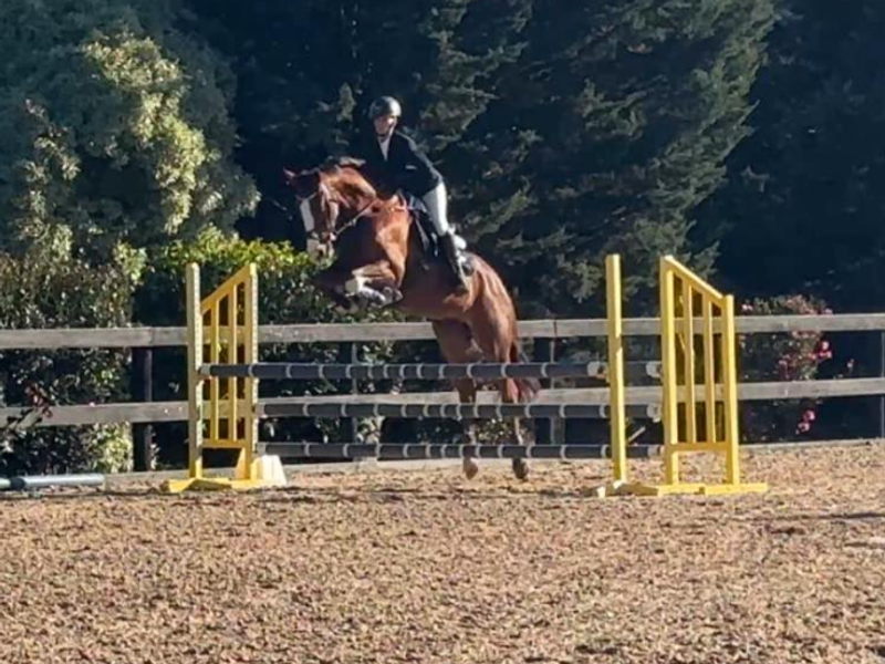 Mt Robinsons Last Chance 