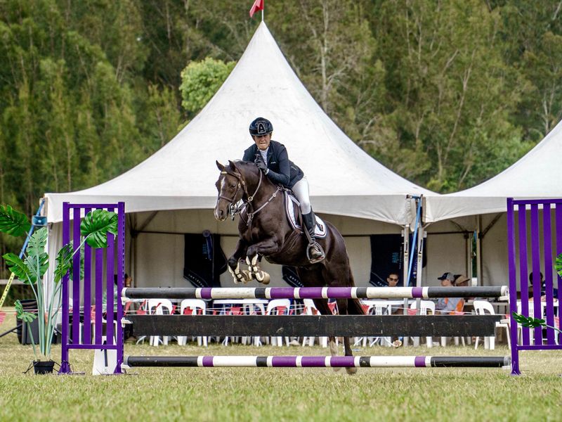 Ultimate Interschools Pony