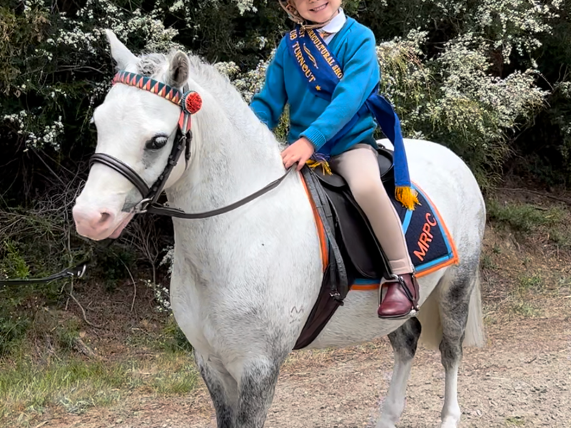 Apollo Park Rainstorm