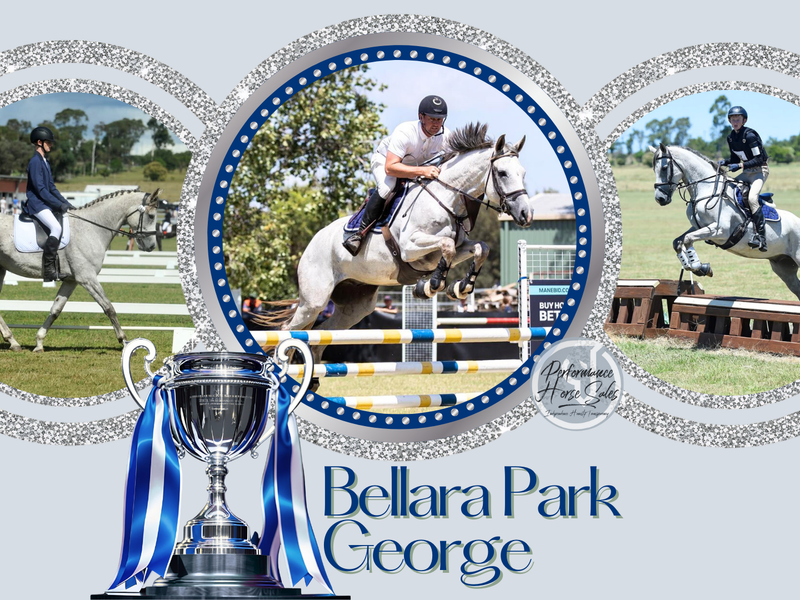 Bellara Park George