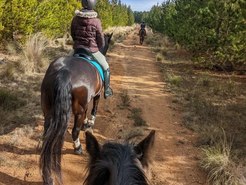 Heart stealer, head turner