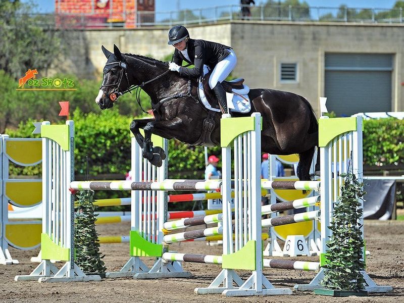 Genuine Schoolmaster