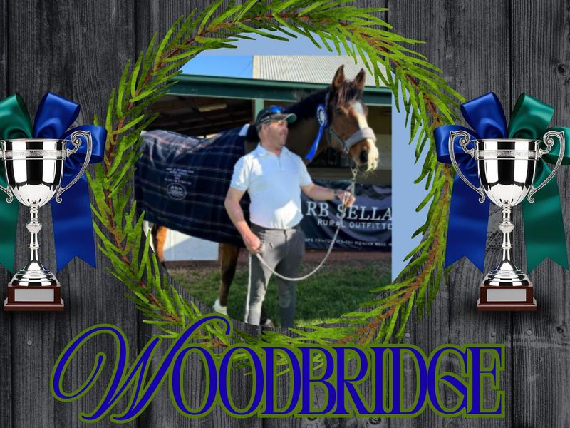 Woodbridge - EVA80 OTT Dressage Show superstar