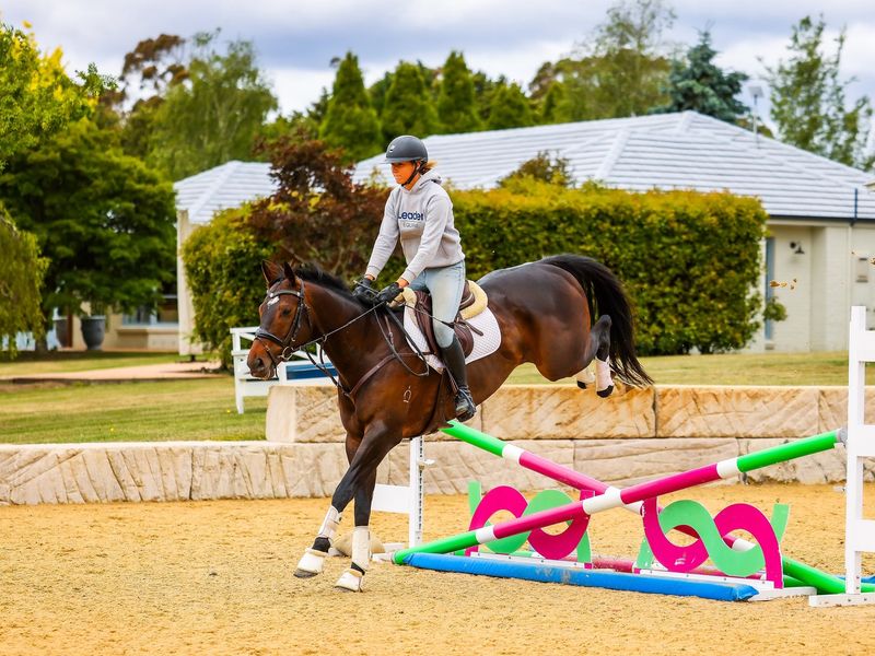 Promising Potential 🌟 SJ or Event