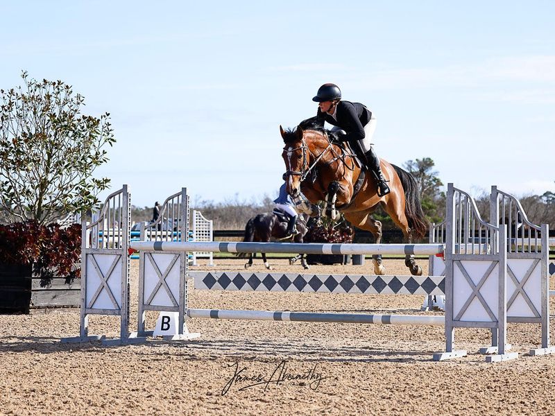 Exceptional Interschools Mount 