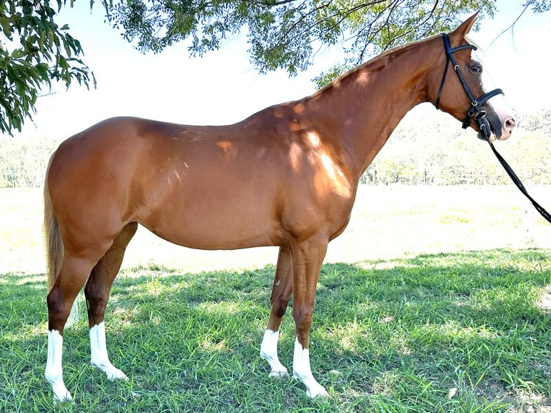 Stand out from the crowd! 