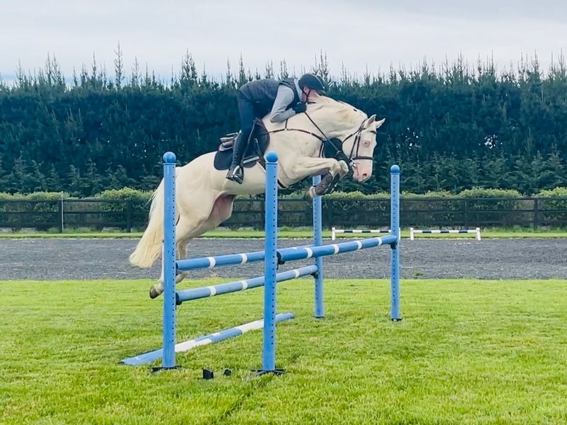 Exciting Breeding Opportunity 