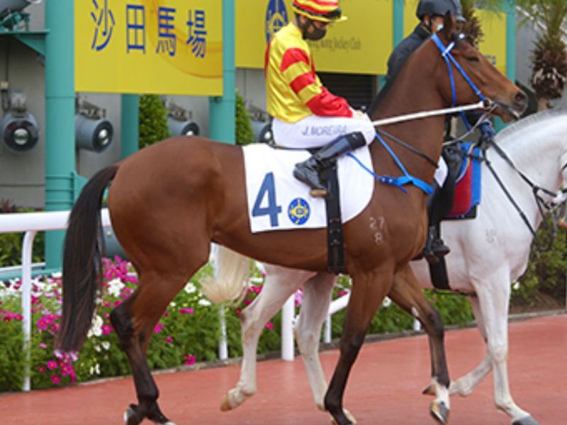 Elegant Lovely Moving Boy